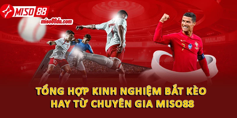 Tổng hợp kinh nghiệm bắt kèo hay từ chuyên gia Miso88